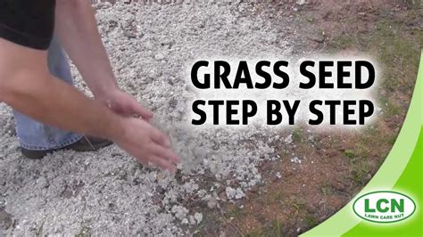Say Hello to a Stunning Yard: Plant Magic Grass Seed in Four Easy Steps